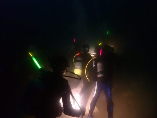 ナイトダイビングで透明な海を潜るダイバーの写真